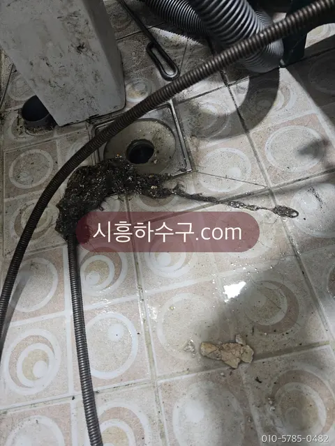 바닥 배수구에서 스프링으로 머리카락 뭉치를 걷어내는 작업