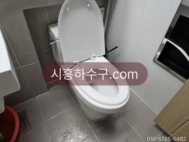 물을 내리며 변기 수면 변화를 확인하는 장면