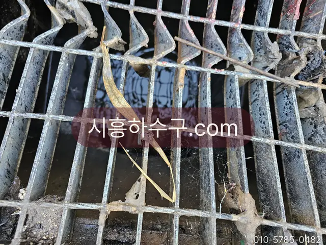 빗물받이 그레이팅 아래에 낙엽과 토사가 낀 모습
