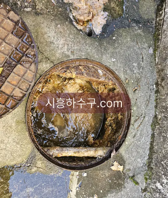 오수가 차오른 건물 밖 맨홀 내부
